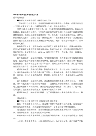 浙江省高考优秀作文4篇看不见的城市