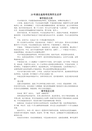 湖北省高考优秀作文点评