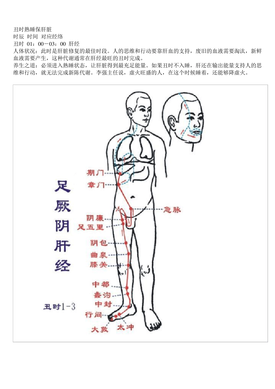 子午流注十二经脉活动时辰带图_第3页