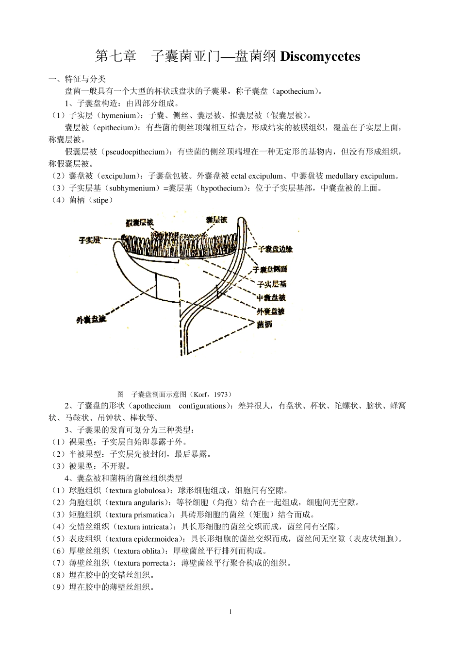 子囊菌亚门盘菌纲Discomycetes_第1页
