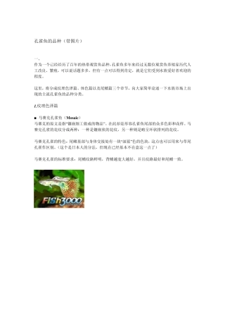 孔雀鱼的品种带图片