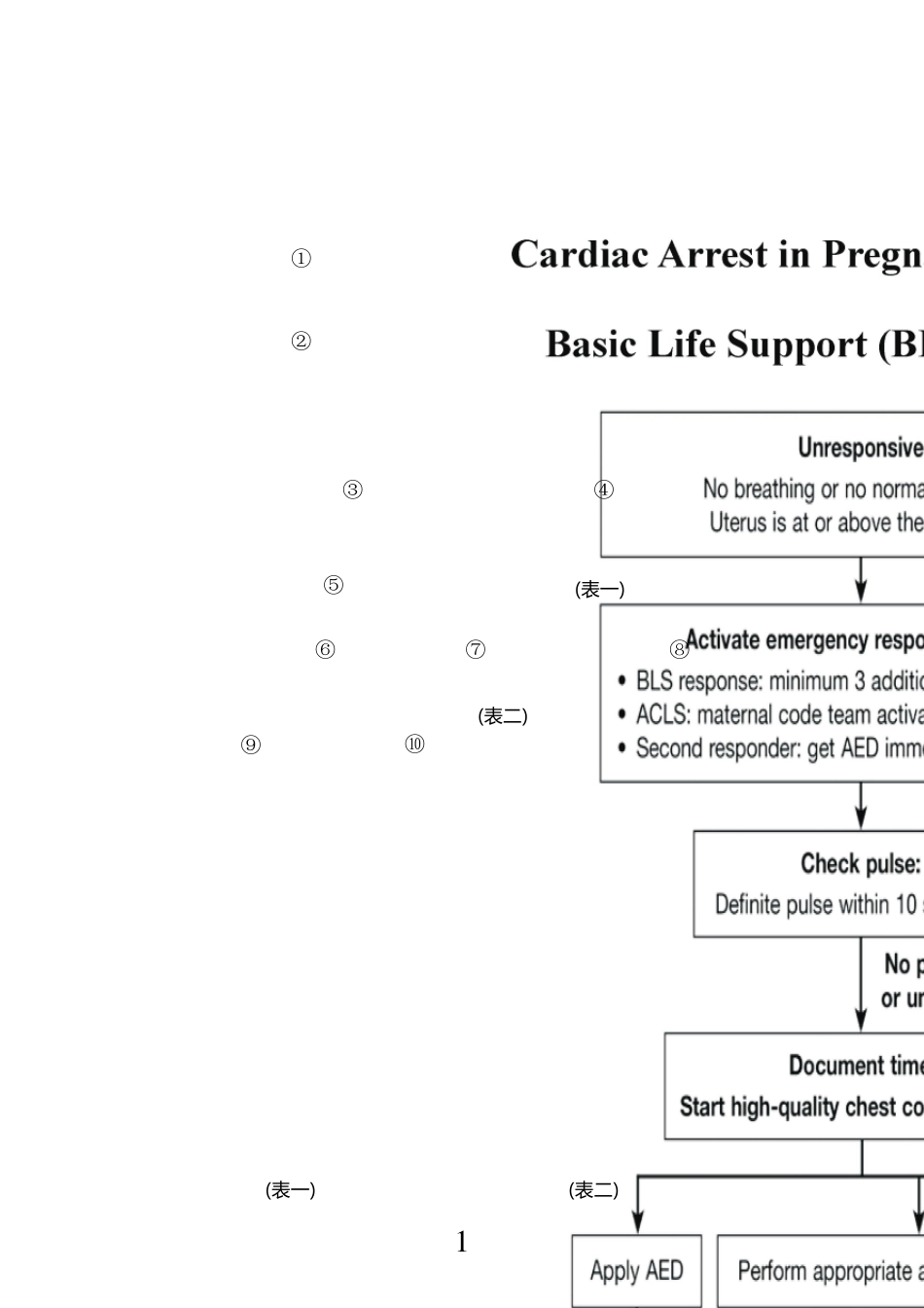 孕产妇心肺复苏指南流程图(中英文参考版)_第1页