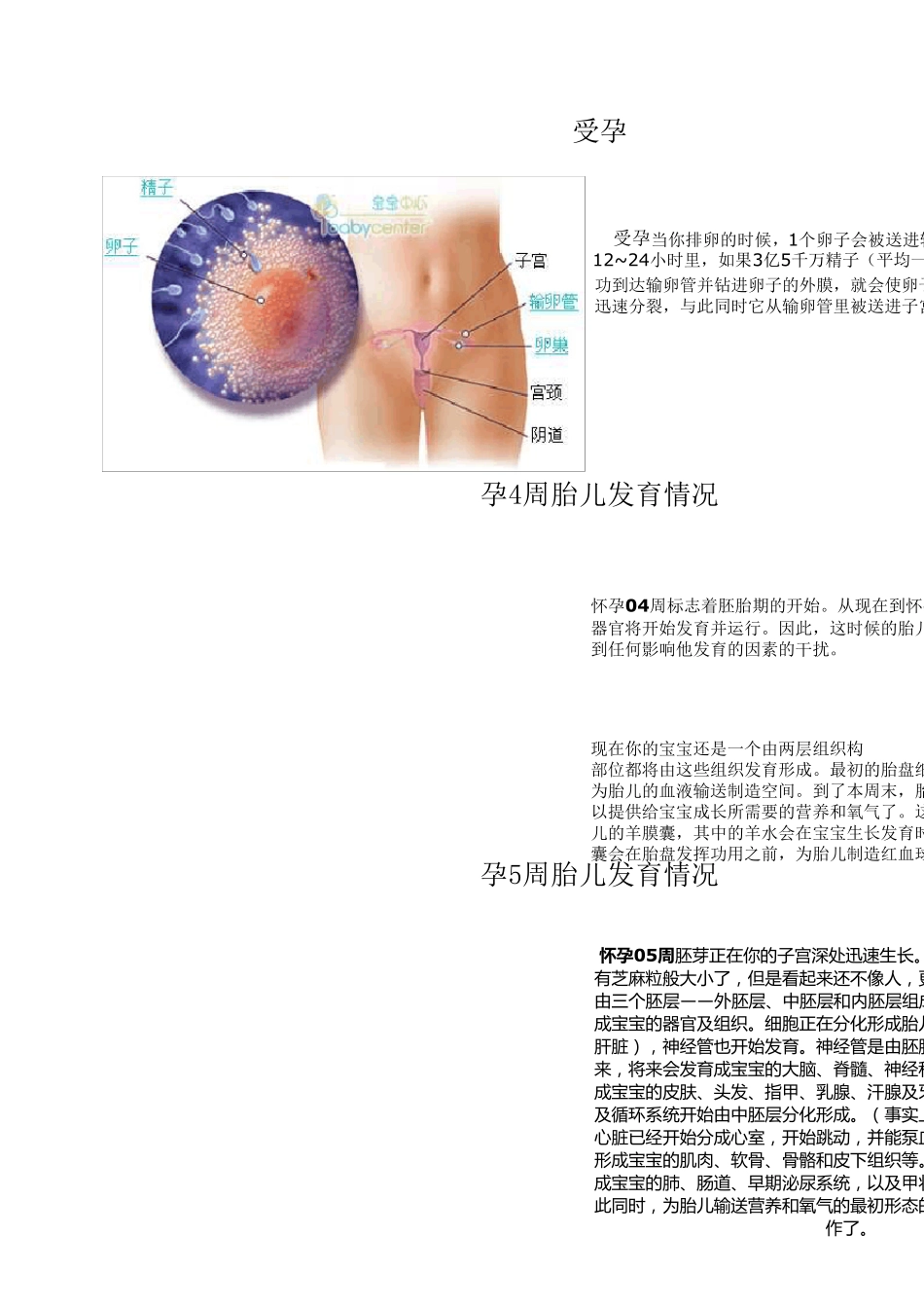 孕期胎儿发育过程图_第1页