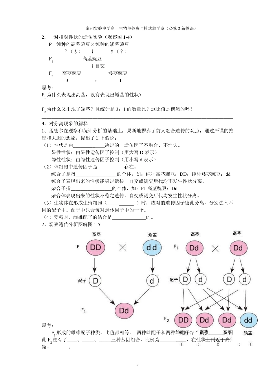 孟德尔的豌豆杂交实验_第3页