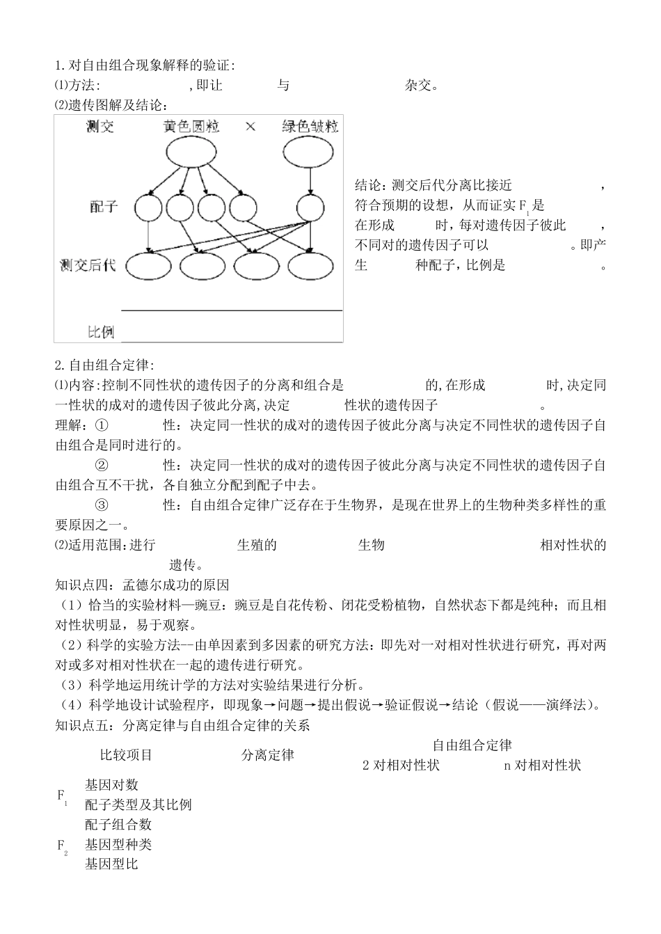 孟德尔的豌豆杂交实验同步学案_第2页