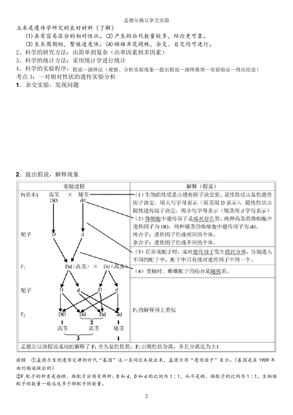 孟德尔的豌豆杂交实验知识点总结_第2页