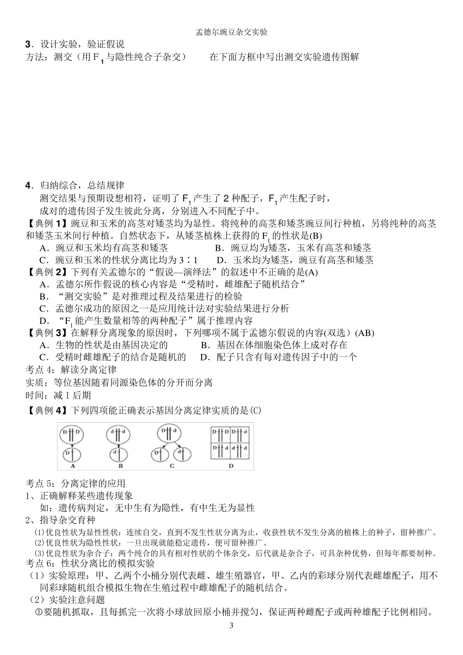 孟德尔的豌豆杂交实验知识点总结_第3页