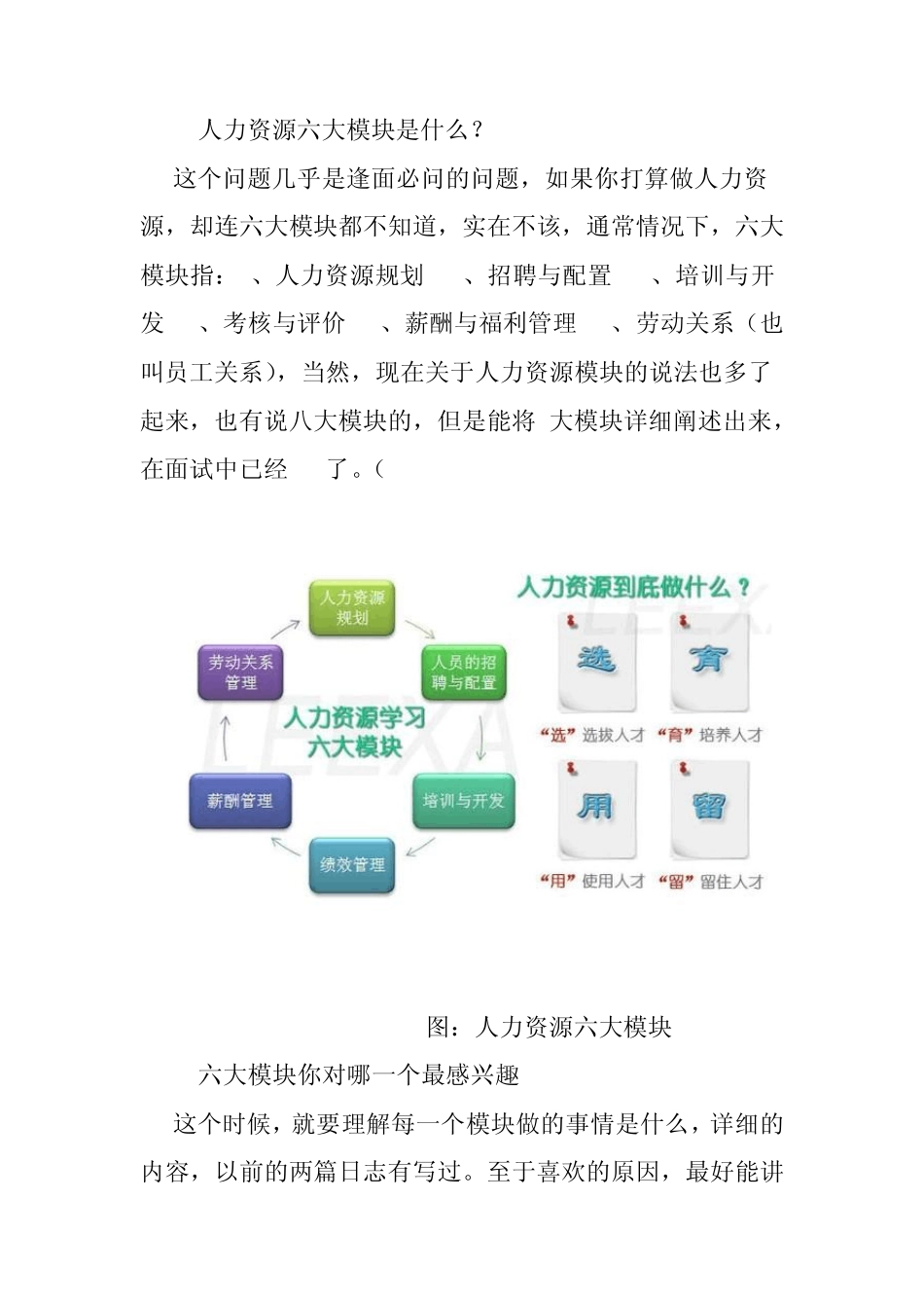 学习人力资源管理专业人员到企业进行人力资源岗位面试_第2页