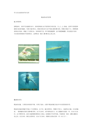学习自由泳的初学者宝库