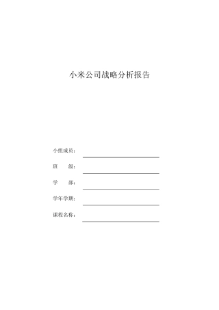 小米公司战略分析报告DOC