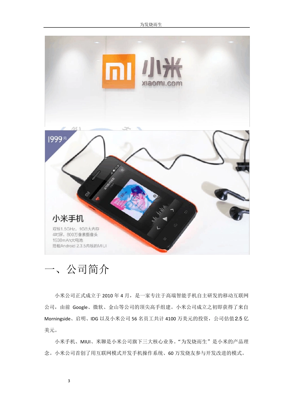 小米手机的品牌营销_第3页