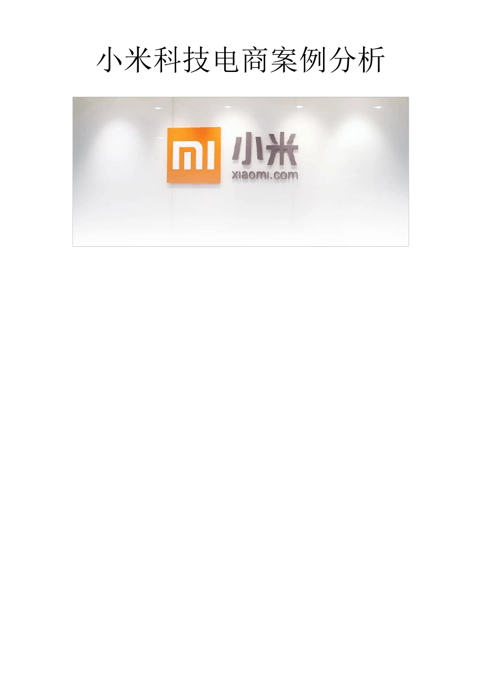 小米科技电子商务案例分析_第2页