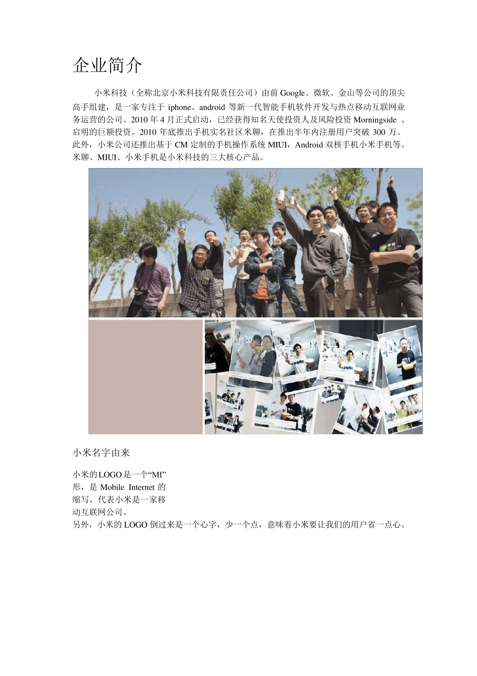 小米科技电子商务案例分析_第3页