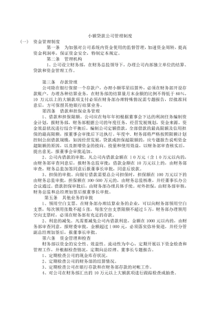 小额贷款公司管理制度(实用版)