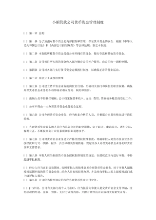 小额贷款公司货币资金管理制度