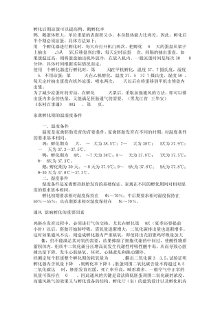 小鸡孵化技术