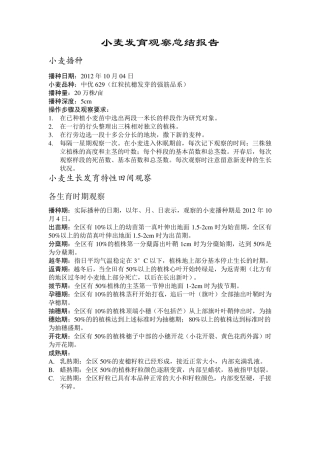 小麦报告田间实验报告