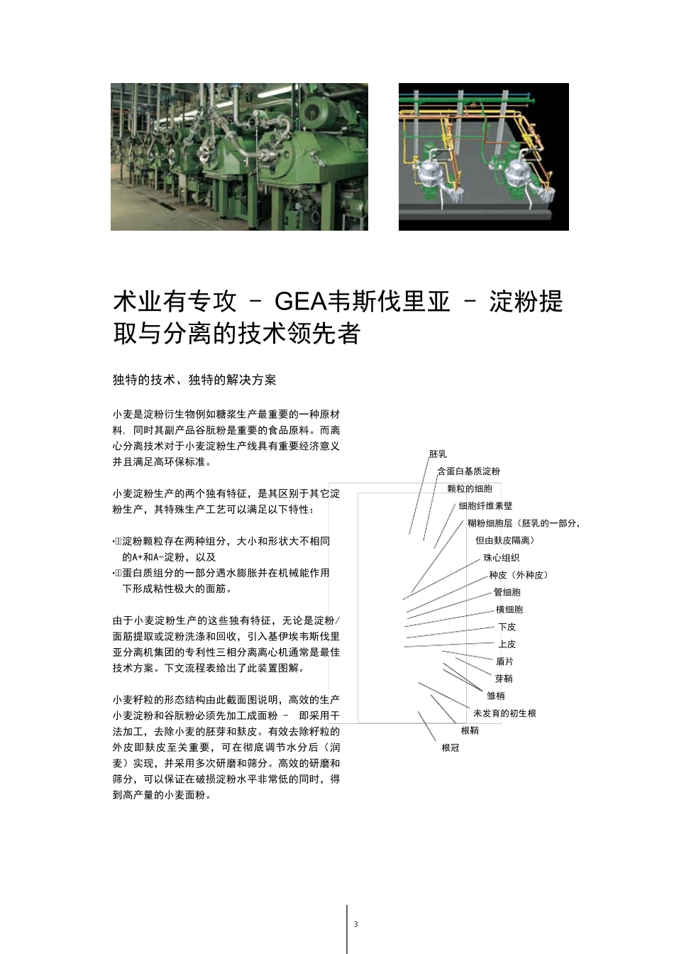 小麦淀粉与谷朊粉加工技术_第3页