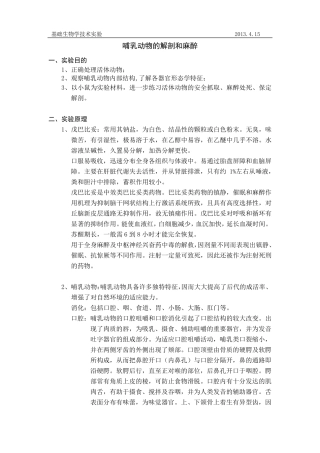 小鼠解剖(哺乳动物结构及解剖)