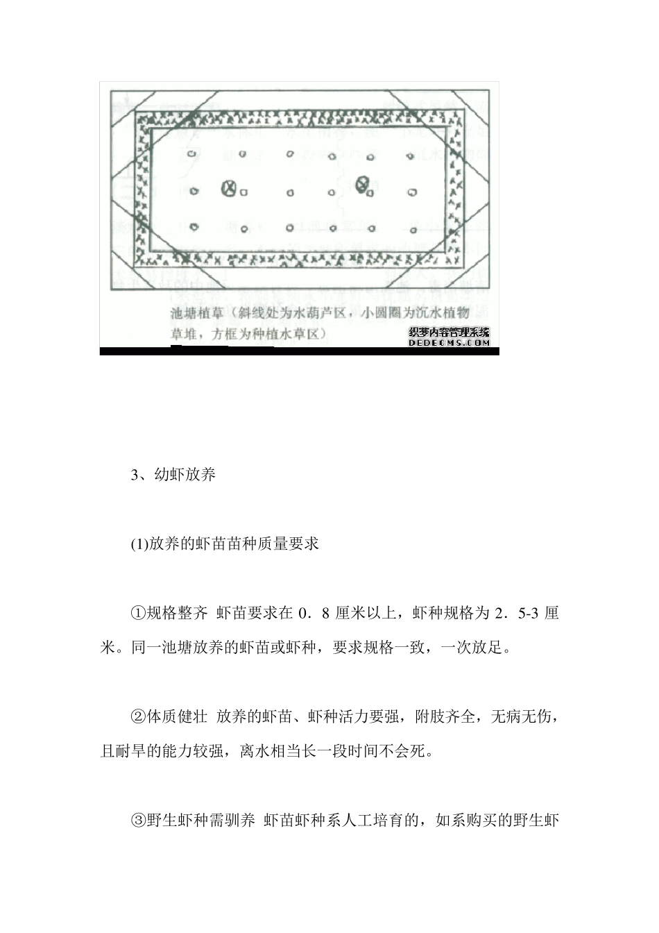 小龙虾养殖技术详解_第3页