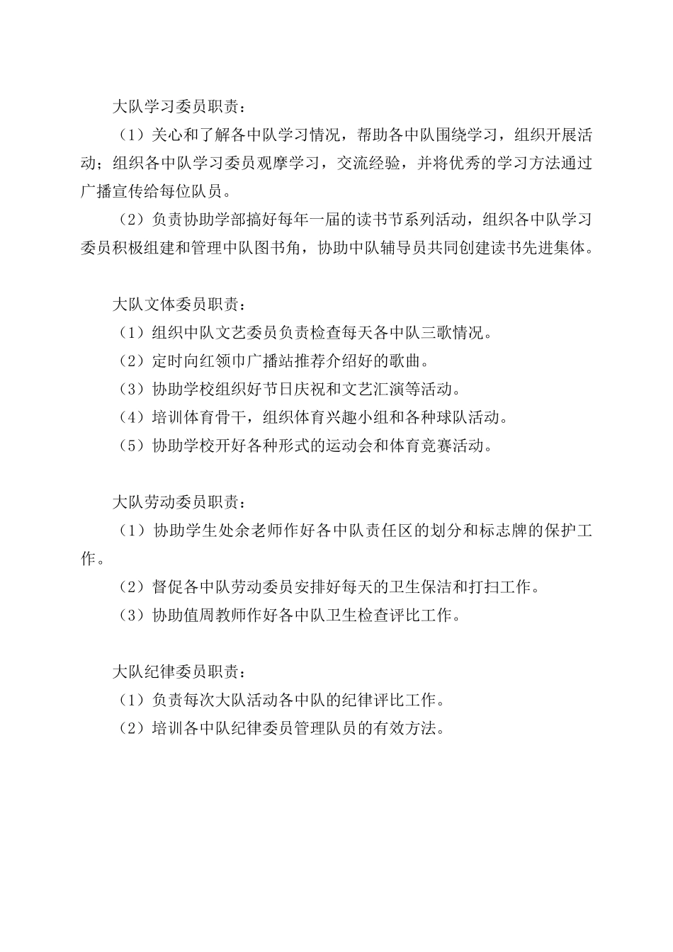 少先队大队委干部职责_第2页