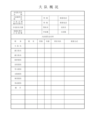 少先队大队记录簿电子版