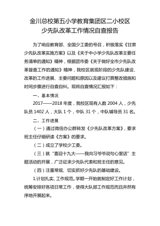 少先队改革工作自查报告