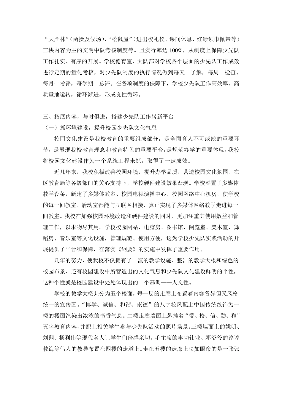 少先队督导自评报告_第3页