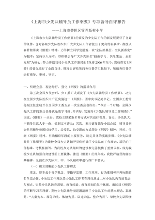 少先队督导自评报告