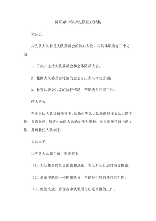 少先队组织结构