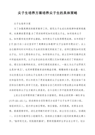 尖子生培养方案培养尖子生的具体策略