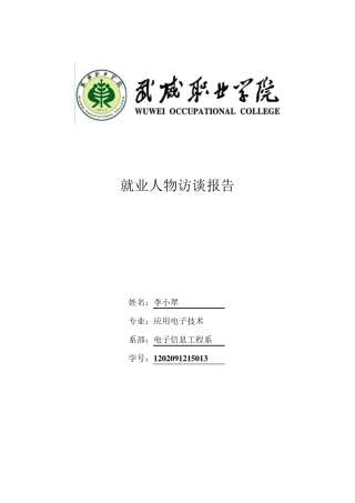 就业人物访谈报告