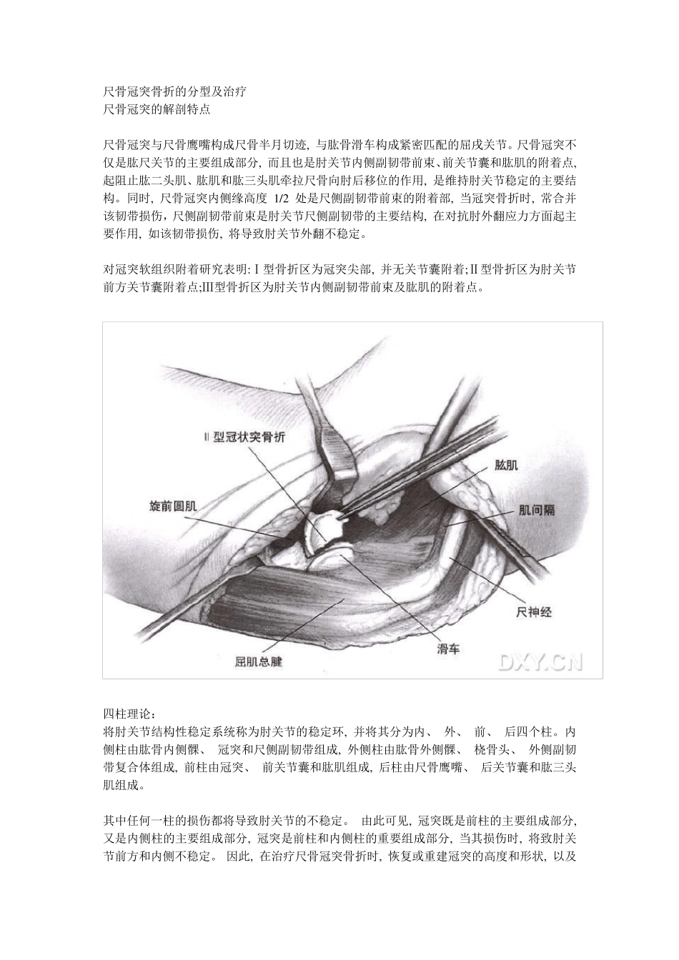 尺骨冠突骨折的分型及治疗_第1页