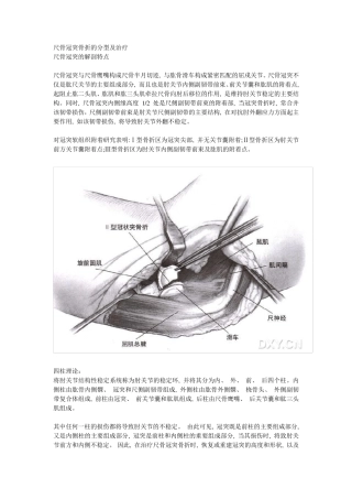 尺骨冠突骨折的分型及治疗