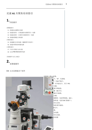 尼康A1共聚焦培训指引