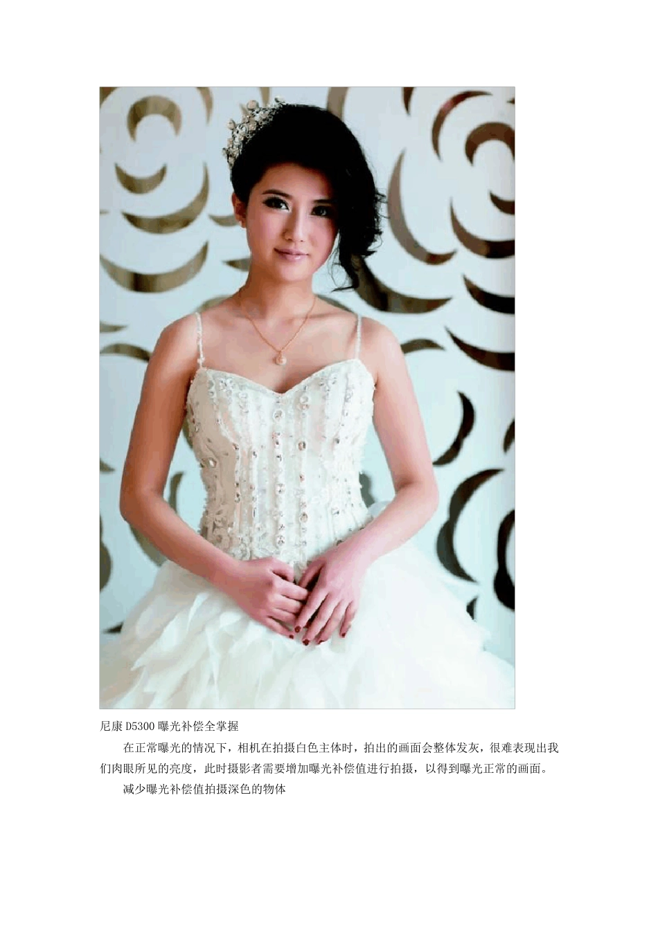 尼康D5300摄影教程使用教程_第3页