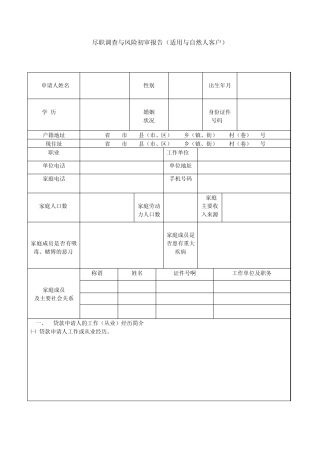 尽职调查与风险初审报告