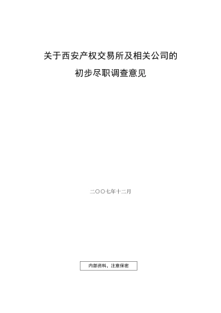 尽职调查报告DOC