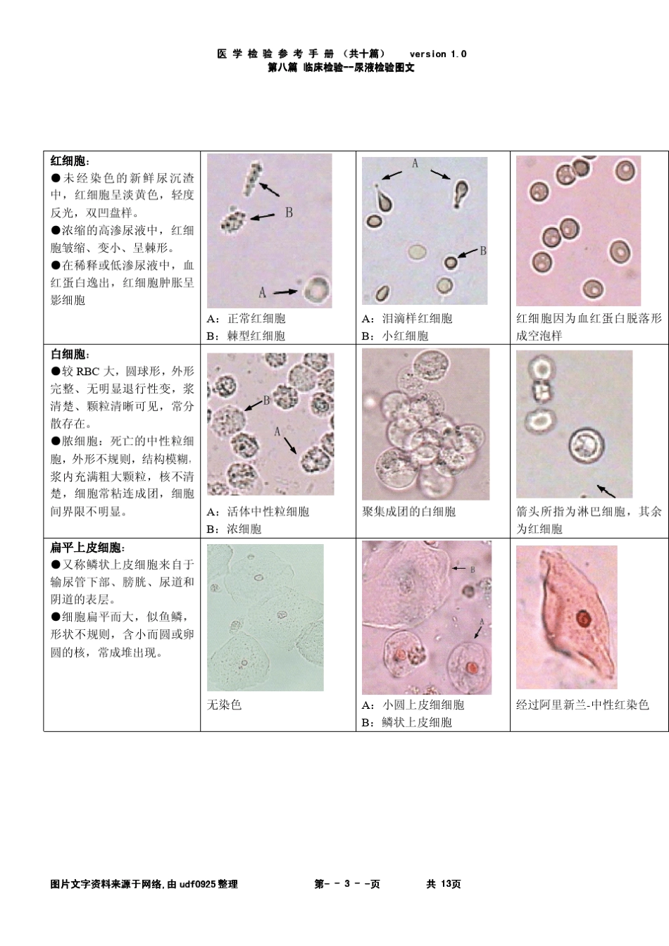 尿液图谱部分_第3页