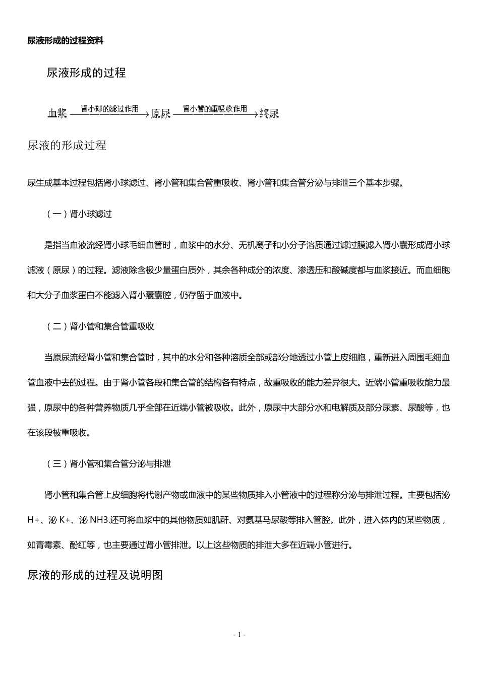 尿液形成的过程资料_第1页