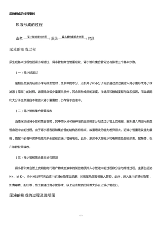 尿液形成的过程资料