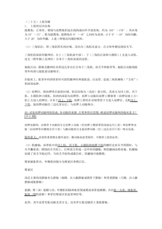 局部解剖学(二十五)上肢局解