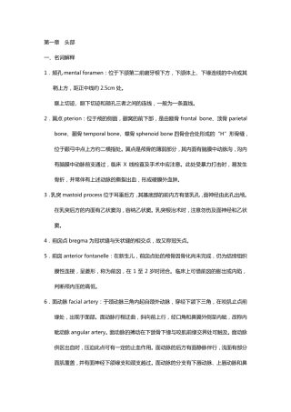 局部解剖学头部试题