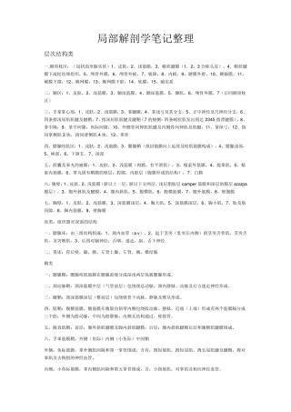 局部解剖学总结+分区超级整理