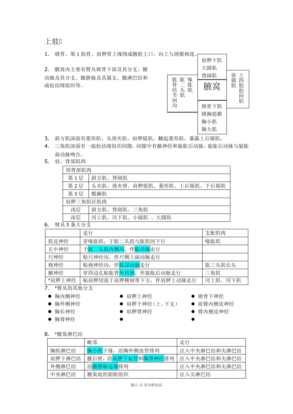 局部解剖学笔记整理_第1页