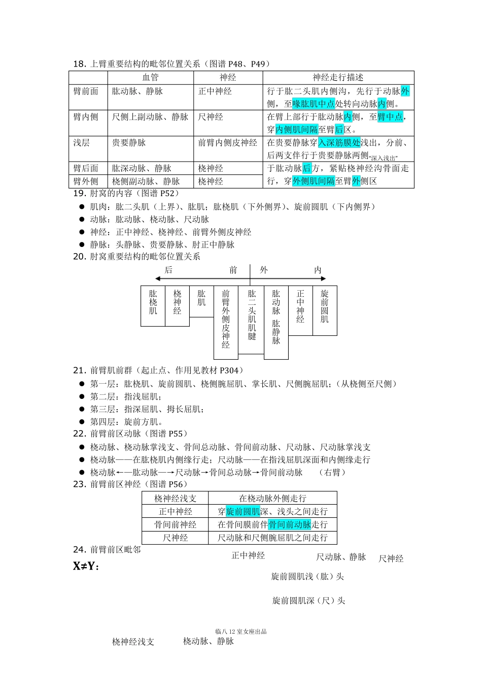 局部解剖学笔记整理_第3页