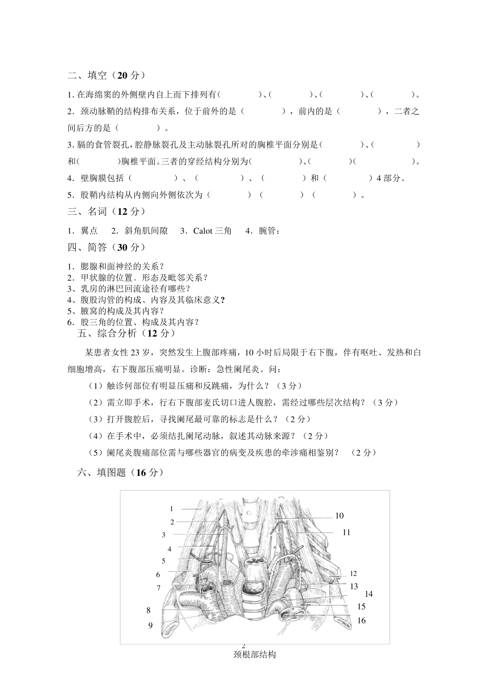 局部解剖学试题及答案_第2页