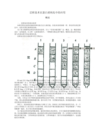 层析技术在蛋白质纯化中的应用