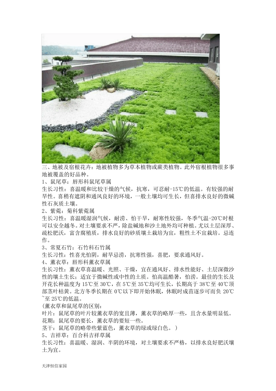 屋顶绿化常用植物大汇总_第3页