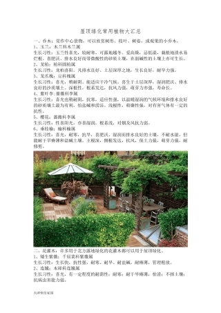 屋顶绿化常用植物大汇总